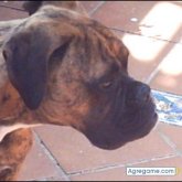 B3ESOS foto #32