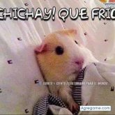 Chatear con Eduardot de Logansport
