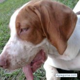 NormaMontes chica casada en Inírida