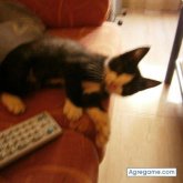 veciana chico separado en Manresa