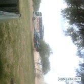 robertmartinez foto #8