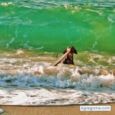 Angelillogrillo foto #12