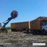 jorgeenrique8226 chico soltero en Paiján