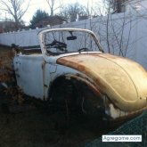 Chatear con lucilomorales de Campbell