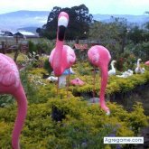 andre2583 chica soltera en Medellín