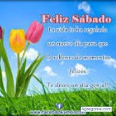 Jobalbin2018 chico casado en Medellín