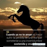 Luisparras chico soltero en Gatuncillo