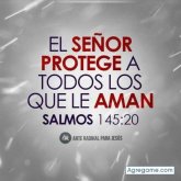 andresmambuca8000 foto #9