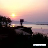 Lluis36 chico soltero en 