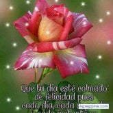 Gerardo