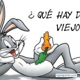 Chatear con raul97 de Teloloapan