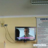 elim1506 chico soltero en San Martín De Porres