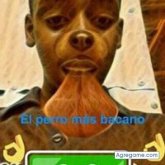 Chatear con anfernijavier de Villa Altagracia