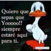 Chatear con 1102354277 de Socorro