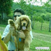 JUANJAVIEF foto #35