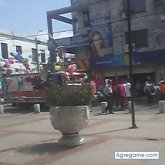 yormansanchez chico soltero en Pamplona