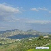 Chatear con frangarcia3263 de Thornton