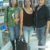 micebra foto #7