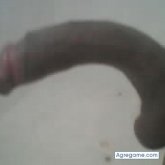 alcon19 chico soltero en Inírida