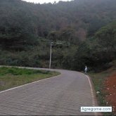 Chatear con danielbautista1190 de Camargo