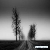 Chatear con Jhonszp de Latacunga