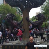 Foto de perfil de Fernando_Cetina