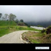 editsontorrealba foto #8