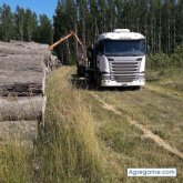 Chatear con nestorricci de Saladillo
