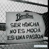 pocholozona chico soltero en San Antonio