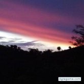 Maestro. Busco matrimonio. Mujeres.