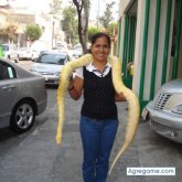 americazugey chica soltera en Olinalá