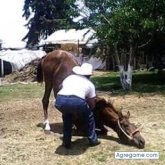 alvertogonzalez chico soltero en Molango De Escamilla