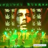 any chica casada en Florencio Varela