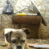 MiguelTapia chico soltero en Rancagua