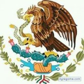 Pipo Tabla
