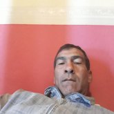 Busco pareja. Chica. El cuarteto.