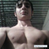 Foto de perfil de lechuza