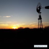 Sigobuscodote foto #7