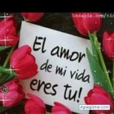 Foto de perfil de joseadan9544