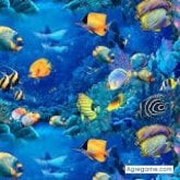 nelson301989 foto #11