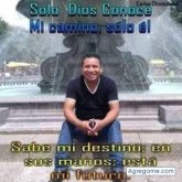 Alfa Xilófono Charli