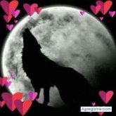 Chatear con tonyvalladares de San Martín