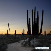 jcphchev foto #27