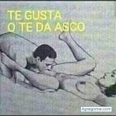 Cesar