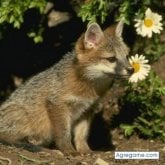 hectormedi87 foto #11