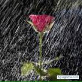 disfruta chico soltero en Bilbao