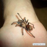 jesusgarcia chico soltero en Parla