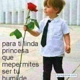 Wuaten chico soltero en Talanga