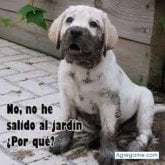 Foto de perfil de everhernandez5713