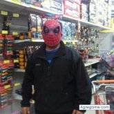 david